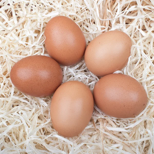 Huevos de Éster —  Fotos de Stock