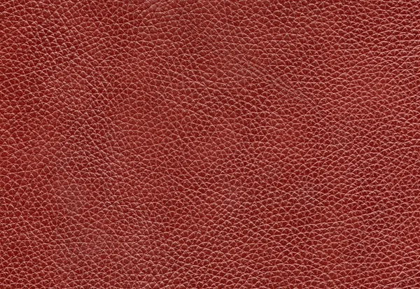 Textura de cuero rojo primer plano —  Fotos de Stock
