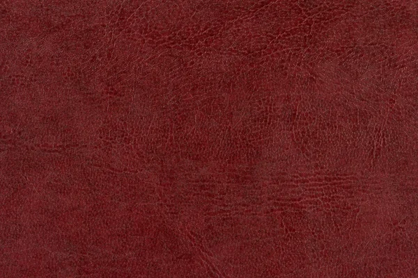 Red leather — Stock Photo, Image