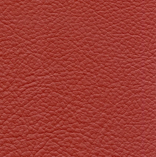 Texture in pelle rossa primo piano — Foto Stock