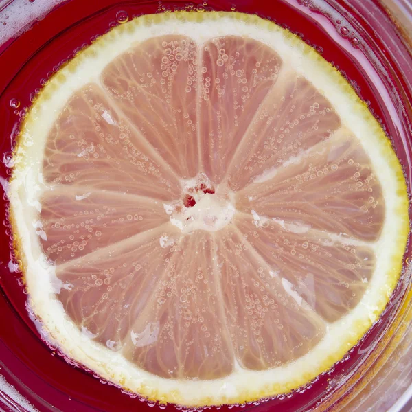 Single cross section of lemon — Stock Photo, Image