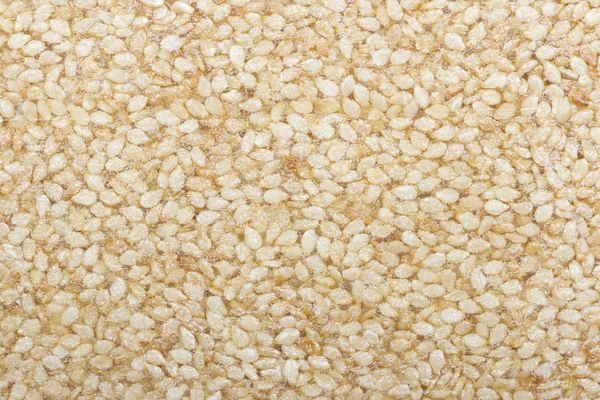 Zavřete záběr sezamových semínek — Stock fotografie