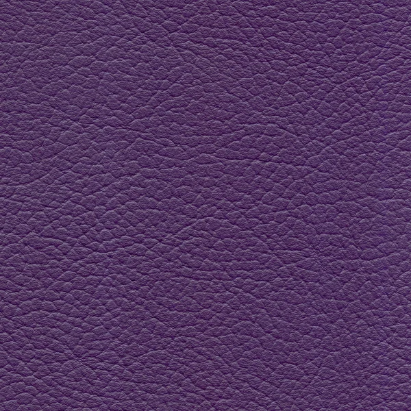 Cuir violet texture gros plan — Photo