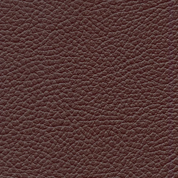 Brown leather texture — Stock Photo, Image