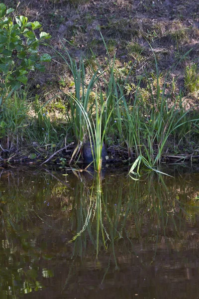 Vacker vår landskap — Stockfoto