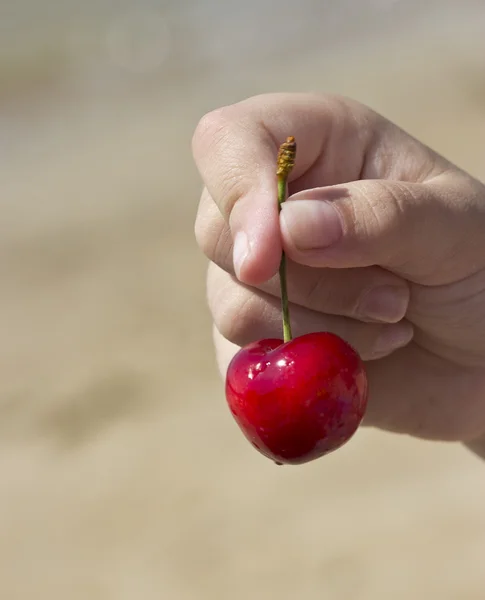 To jest czerwony sweet cherry leży w dłoni — Zdjęcie stockowe