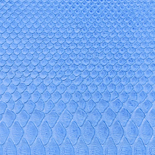 Blue snake skin imitation background — Stock Photo, Image