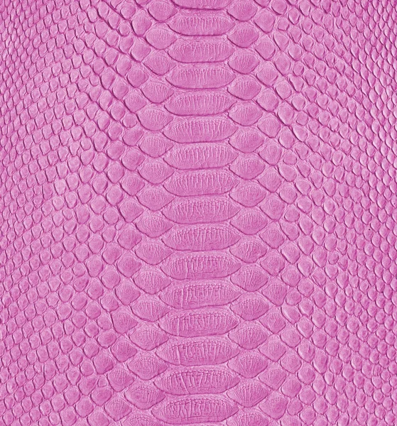 Pink snake skin — Stock Photo, Image