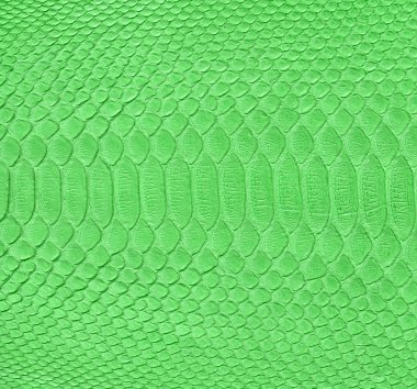 yeşil yılan derisi