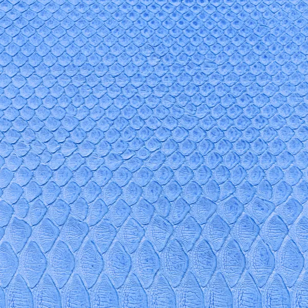 Mavi yılan deri taklidi arka plan — Stok fotoğraf