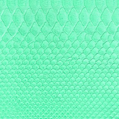 serpente pelle imitazione sfondo