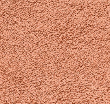 Turuncu deri dokusu portre