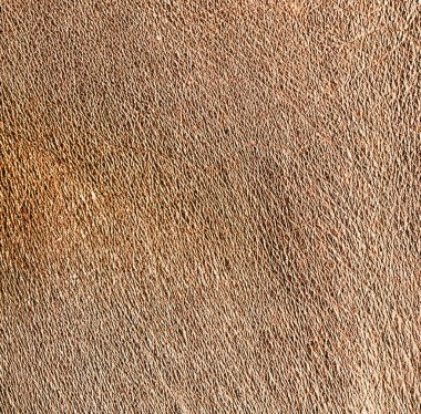 kahverengi deri dokulu arka plan