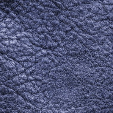 Mavi buruşuk deri arka plan