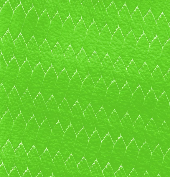 Yeşil deri dokulu arka plan — Stok fotoğraf