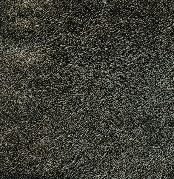 Leather texture closeup. — Stock Photo, Image