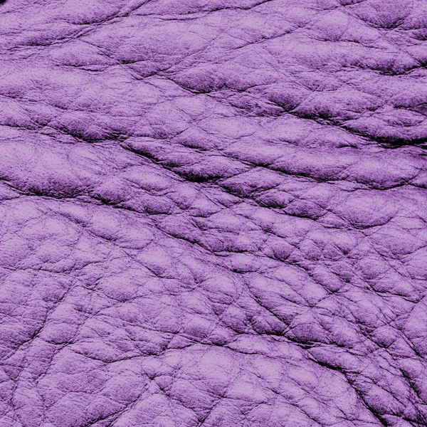 Смятая фиолетовая кожа . — стоковое фото
