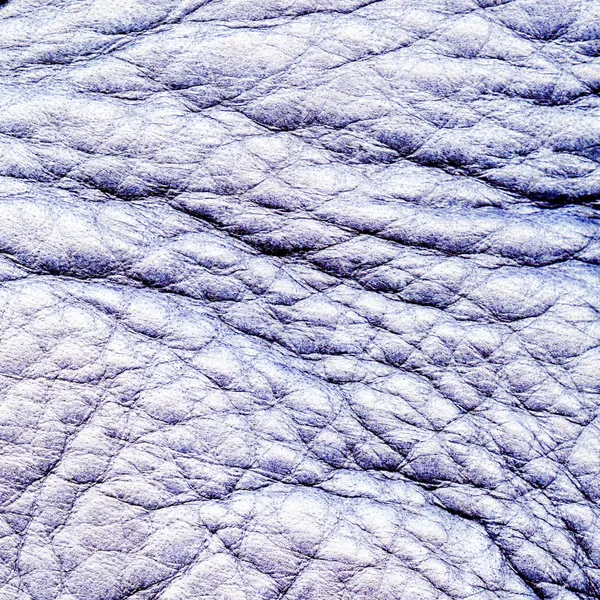 Crumpled bluish leather. — Stock Photo, Image