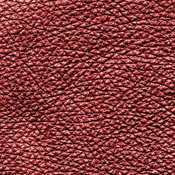 Piele roșie closeup — Fotografie, imagine de stoc