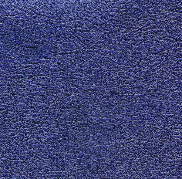 Blauwe leder texture. — Stockfoto