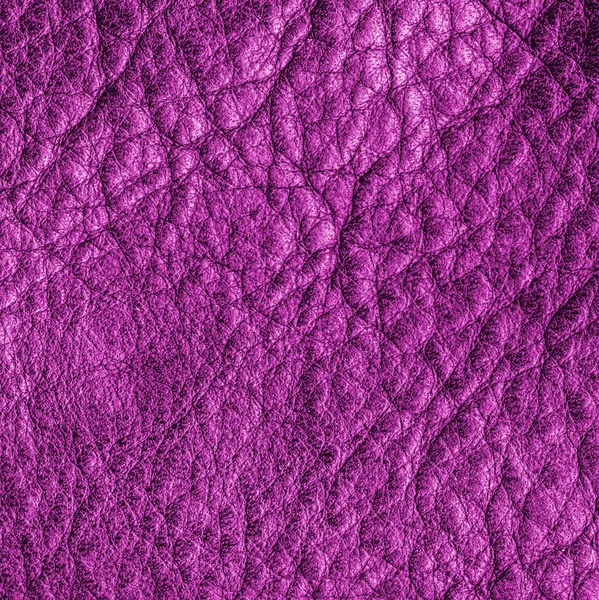 Lilac leather background — Stock Photo, Image