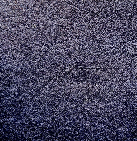 Grey-blue leather texture. — Stock Photo, Image