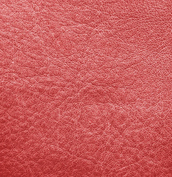 Textura de cuero rojo. Fondo de cuero —  Fotos de Stock