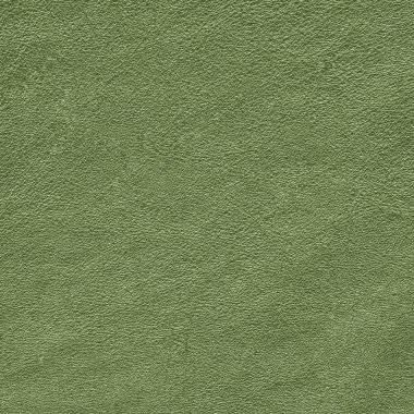yeşil deri dokusu
