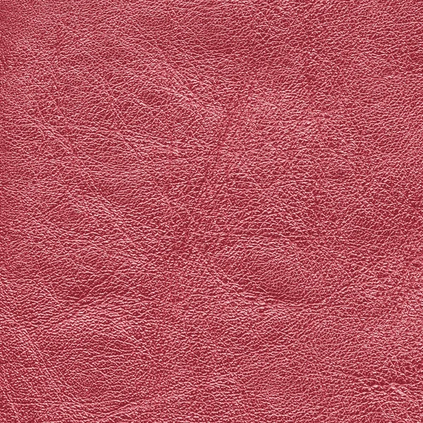 Textura de couro vermelho — Fotografia de Stock