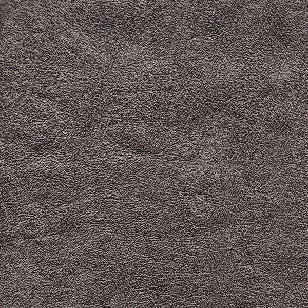 Texture cuir gris — Photo