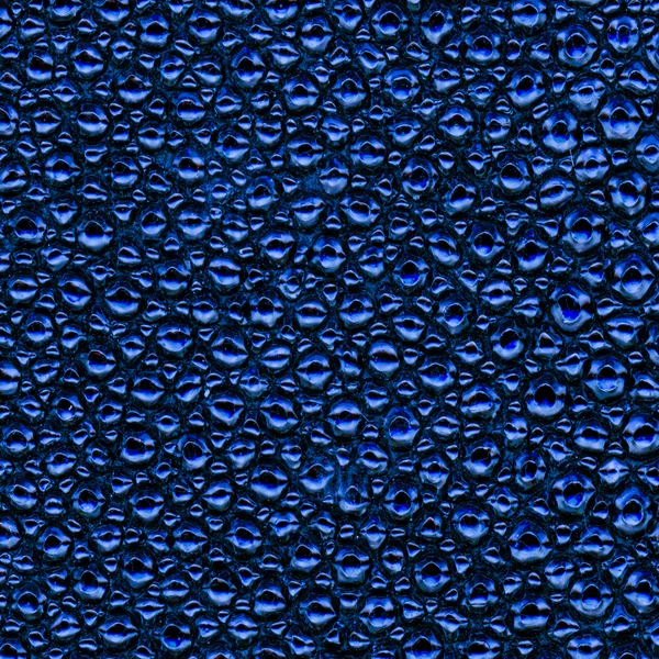 Painted blue fragment of stingray skin closeup — Stock Photo, Image