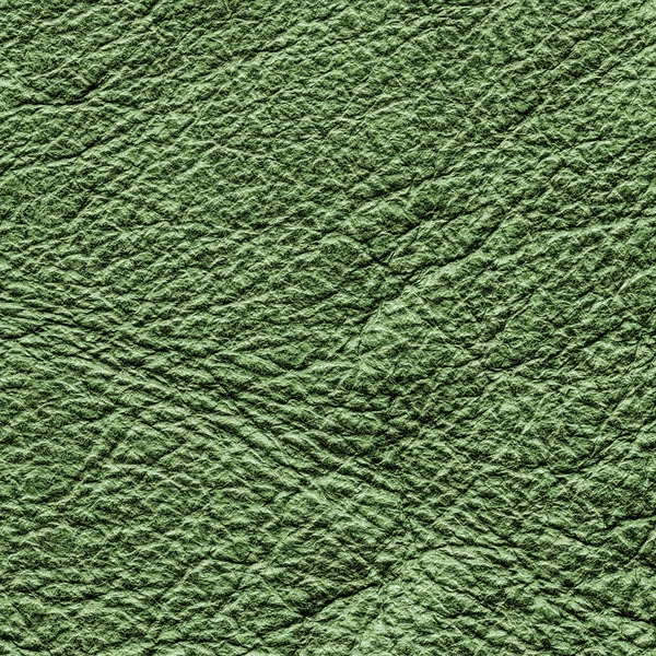 Texture cuir vert — Photo