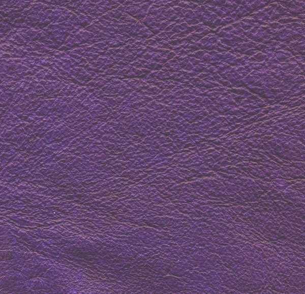Fiołkowa skóra teksturowanej tło — Zdjęcie stockowe