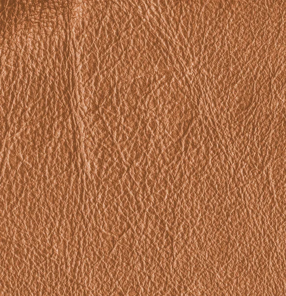 Brown leather textured background — Stock Photo, Image