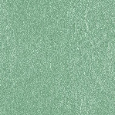 yeşil deri dokusu  