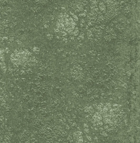 Worn green  leather texture — Stock Photo, Image