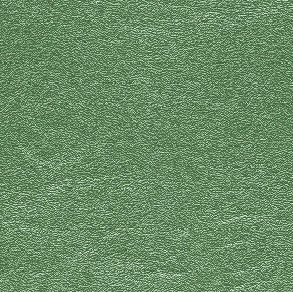 Texture cuir vert gros plan — Photo