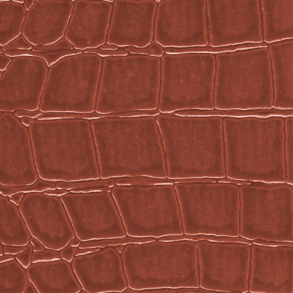 Kahverengi timsah deri dokusu boyalı — Stok fotoğraf