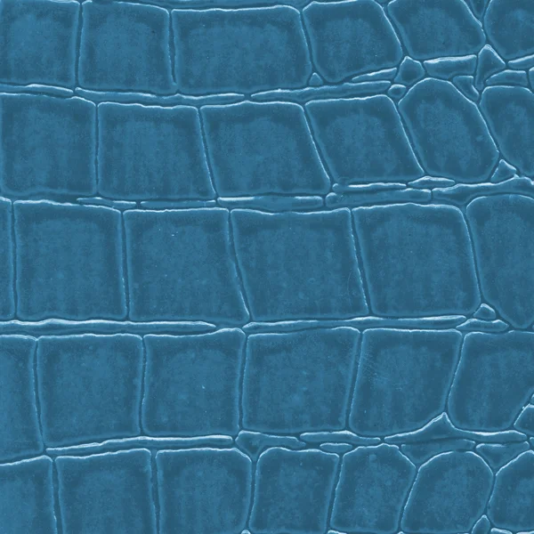 Painted blue crocodile leather  texture — Stock Photo, Image