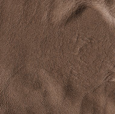 buruşuk deri dokusu