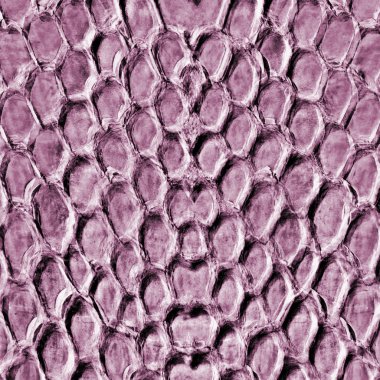 Menekşe dokulu arka plan