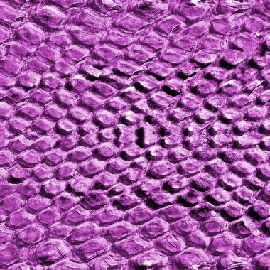 Menekşe dokulu arka plan