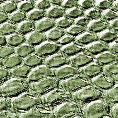 yeşil desenli arkaplan 