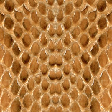 kahverengi sürüngen cilt doku portre 