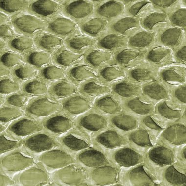 Yeşil sürüngen cilt doku portre, 