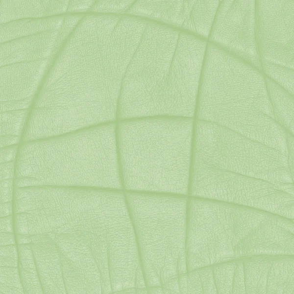 Abstrato verde pálido fundo — Fotografia de Stock