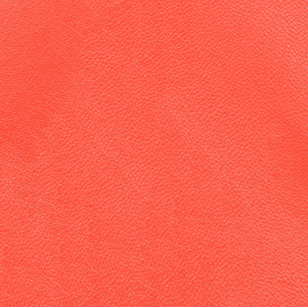 Texture in pelle rossa — Foto Stock