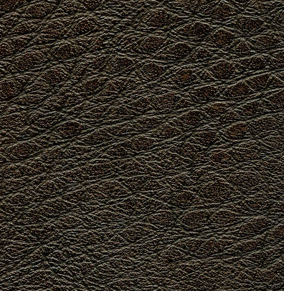 Texture cuir marron — Photo