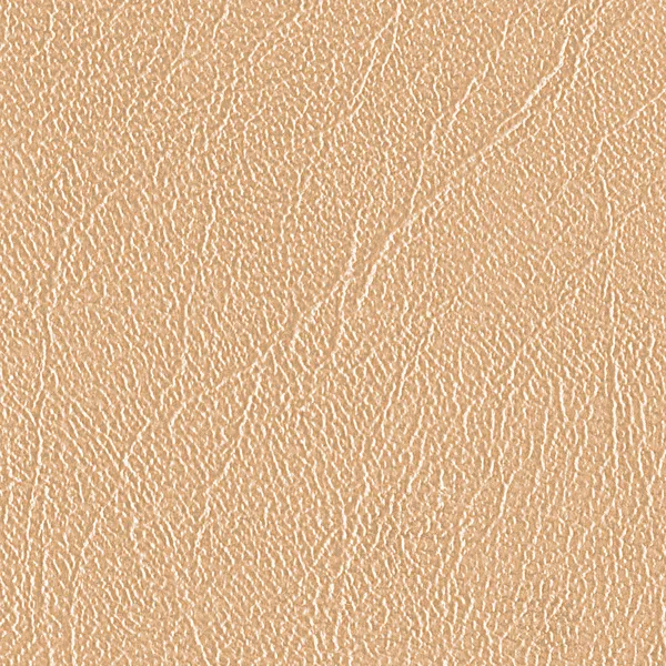 Cuir beige texture gros plan — Photo