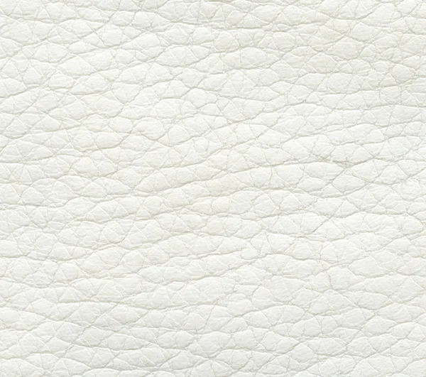 Vecchia texture in pelle bianca primo piano — Foto Stock